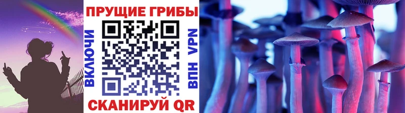 Псилоцибиновые грибы Cubensis  где продают   KRAKEN сайт  Цивильск 